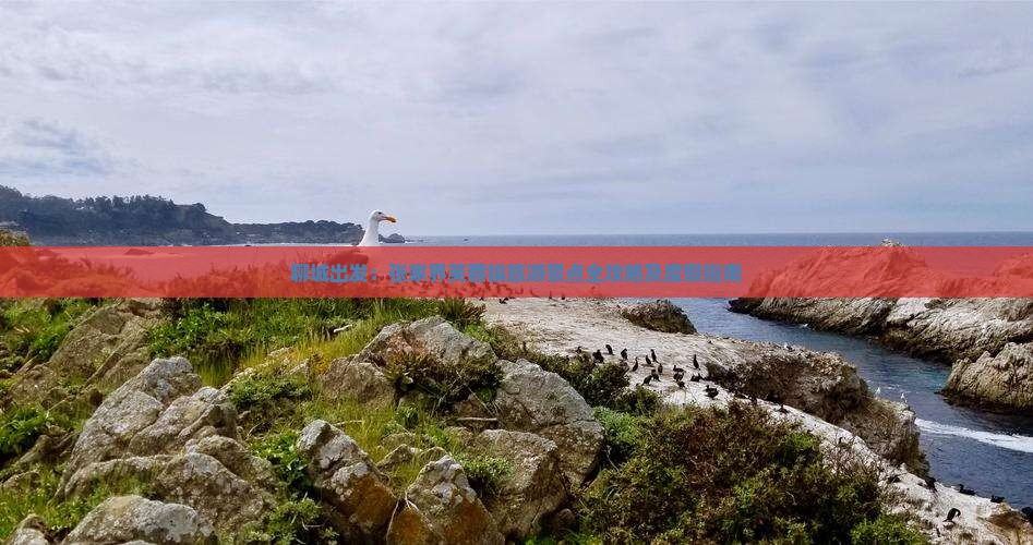 聊城出发:张家界芙蓉镇旅游景点全攻略及度假指南 聊城出发:张家界芙蓉镇旅游景点全攻略及度假指南