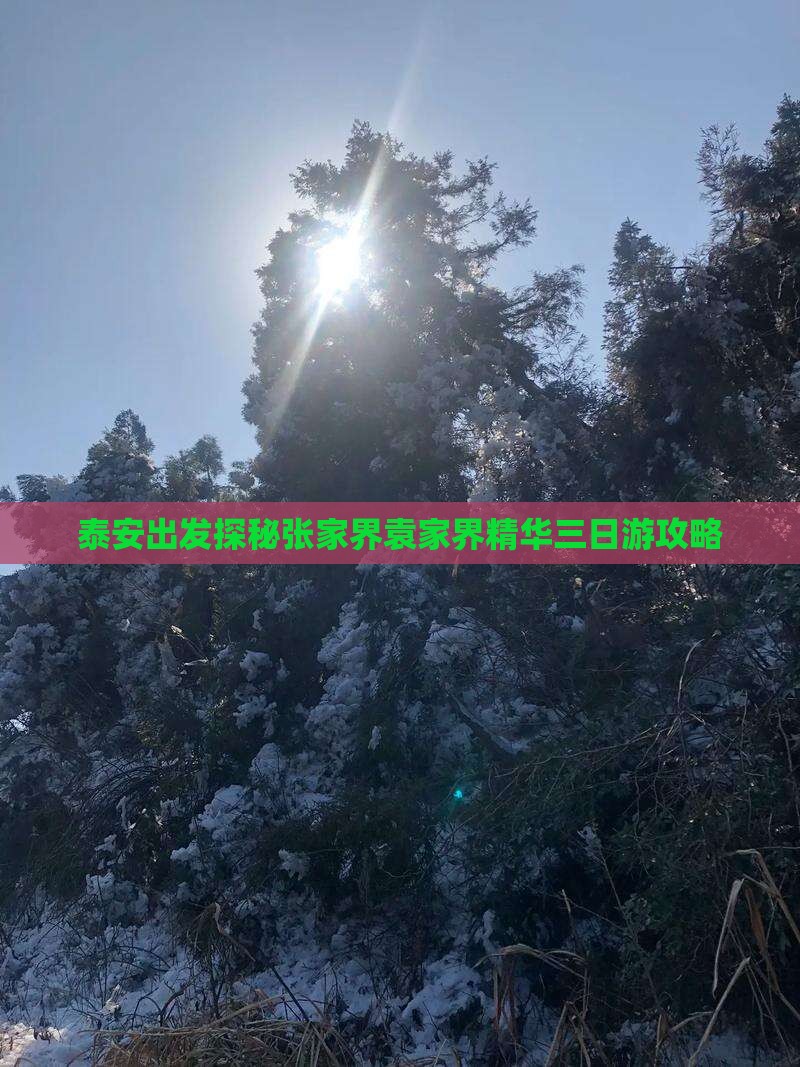 泰安出发探秘张家界袁家界精华三日游攻略