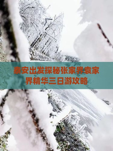 泰安出发探秘张家界袁家界精华三日游攻略