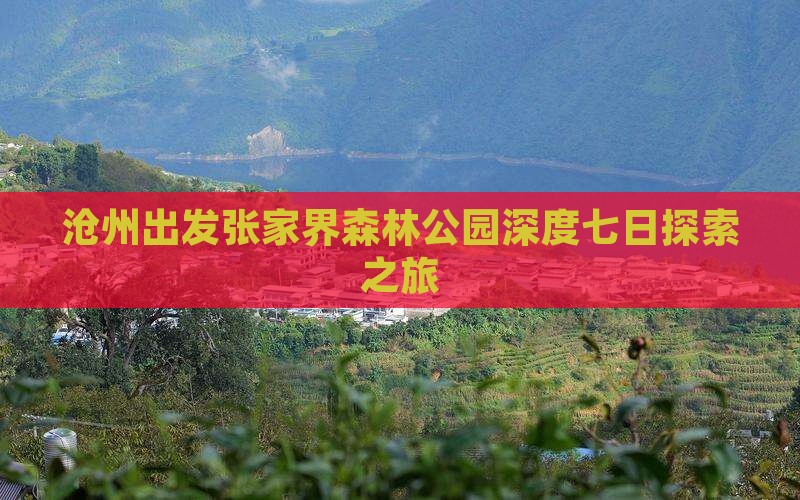 沧州出发张家界森林公园深度七日探索之旅