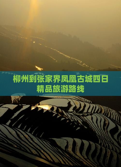 柳州到张家界凤凰古城四日精品旅游路线