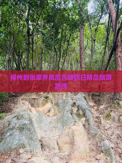 柳州到张家界凤凰古城四日精品旅游路线