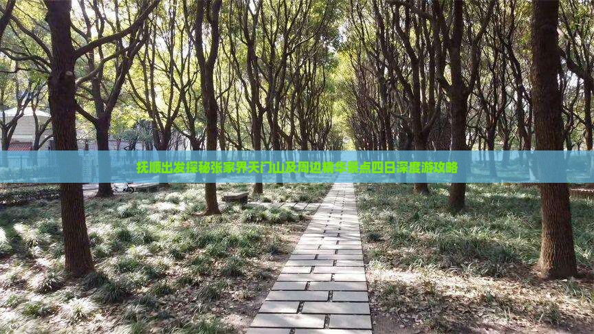 抚顺出发探秘张家界天门山及周边精华景点四日深度游攻略