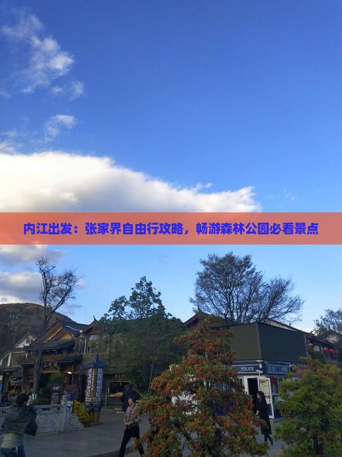 内江出发：张家界自由行攻略，畅游森林公园必看景点
