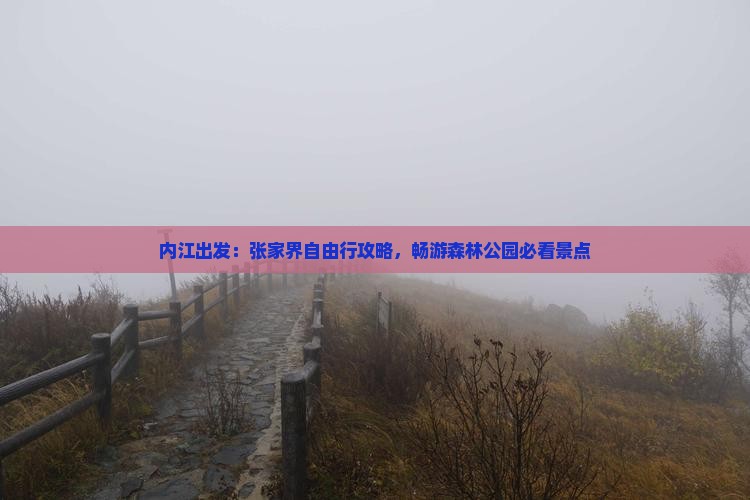 内江出发：张家界自由行攻略，畅游森林公园必看景点