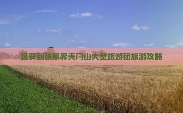 延安到张家界天门山大型旅游团旅游攻略