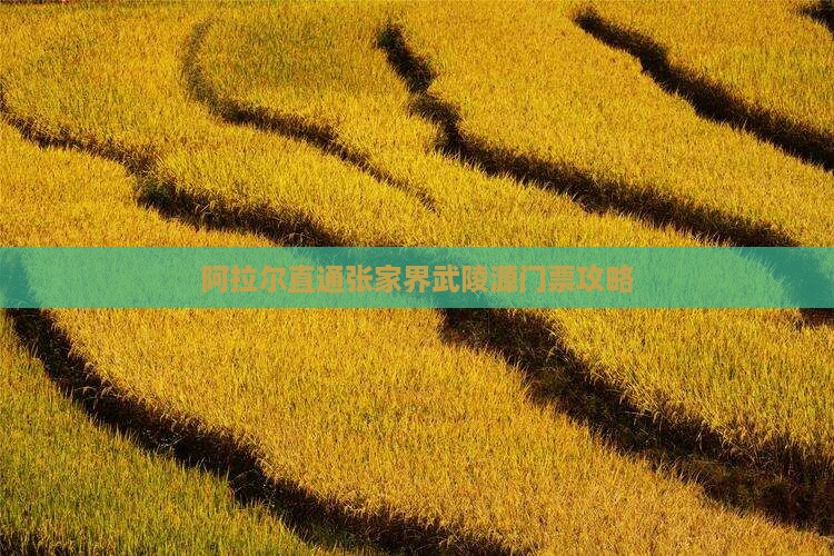 阿拉尔直通张家界武陵源门票攻略