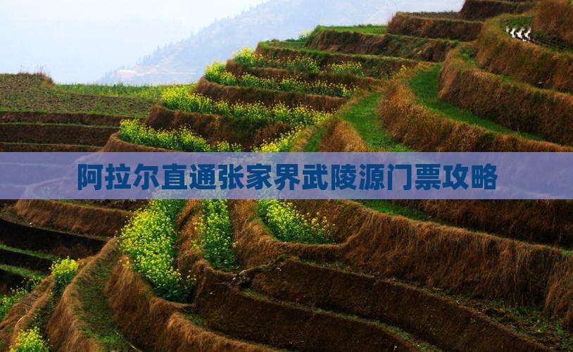 阿拉尔直通张家界武陵源门票攻略