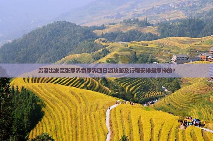 贵港出发至张家界袁家界四日游攻略及行程安排是怎样的？