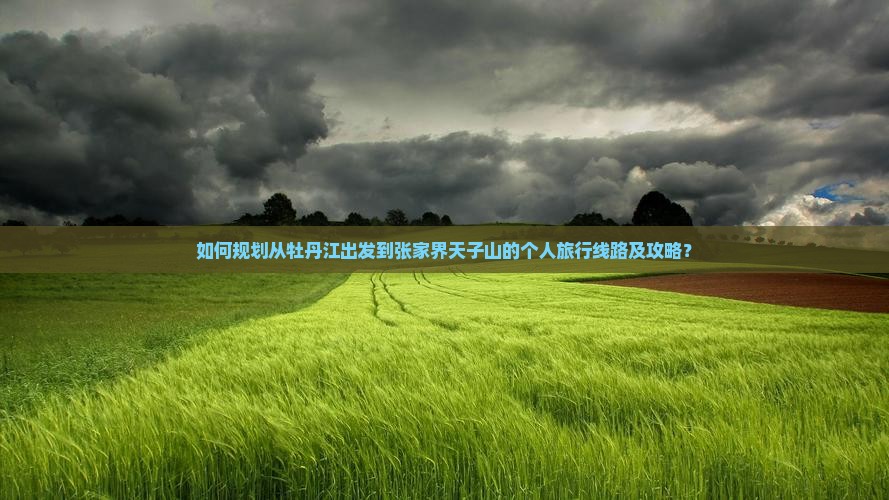 如何规划从牡丹江出发到张家界天子山的个人旅行线路及攻略？