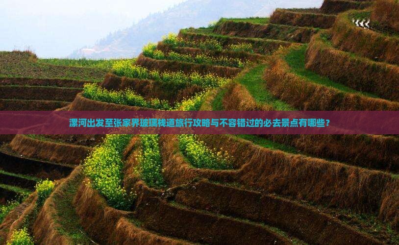 漯河出发至张家界玻璃栈道旅行攻略与不容错过的必去景点有哪些？