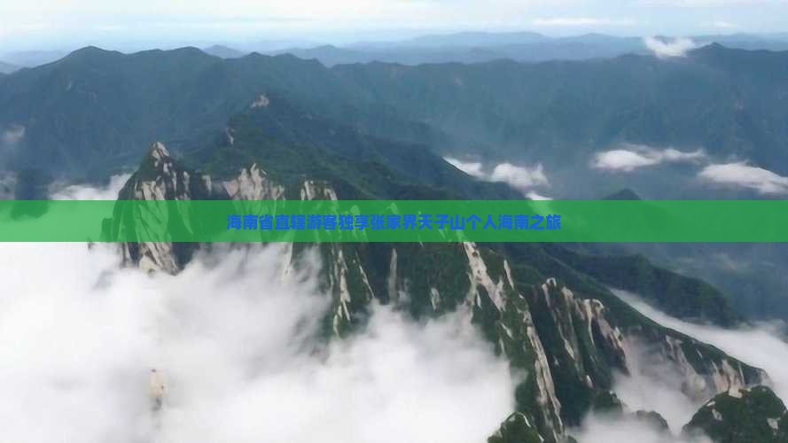 海南省直辖游客独享张家界天子山个人海南之旅
