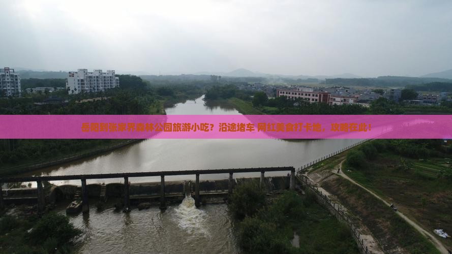 岳阳到张家界森林公园旅游小吃？沿途堵车+网红美食打卡地，攻略在此！