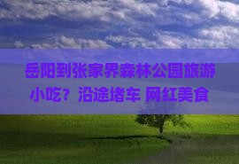 岳阳到张家界森林公园旅游小吃？沿途堵车+网红美食打卡地，攻略在此！