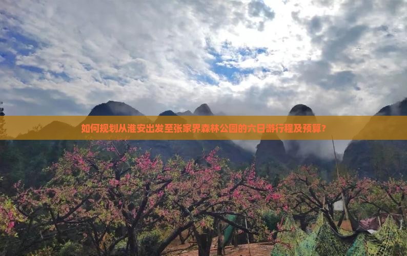 如何规划从淮安出发至张家界森林公园的六日游行程及预算？