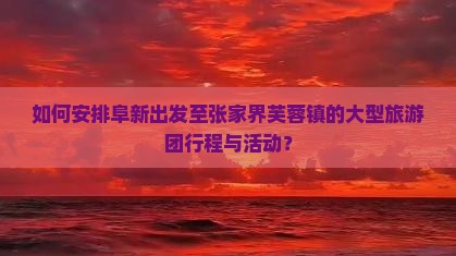 如何安排阜新出发至张家界芙蓉镇的大型旅游团行程与活动？