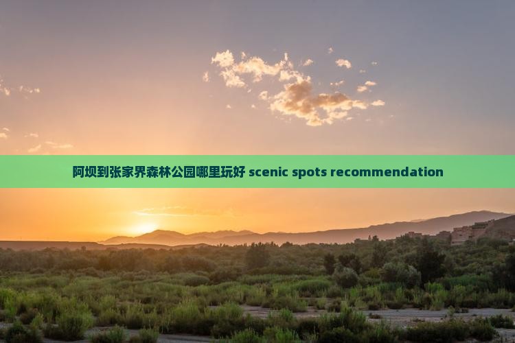 阿坝到张家界森林公园哪里玩好 scenic spots recommendation