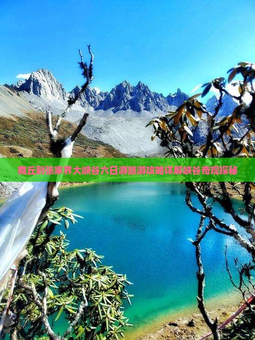 商丘到张家界大峡谷六日游旅游攻略详解峡谷奇观探秘
