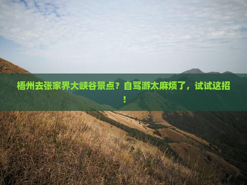 梧州去张家界大峡谷景点？自驾游太麻烦了，试试这招！