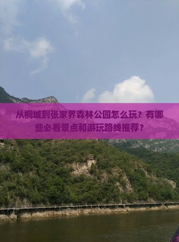 从桐城到张家界森林公园怎么玩？有哪些必看景点和游玩路线推荐？