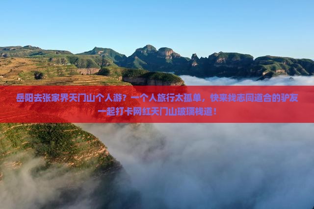 岳阳去张家界天门山个人游？一个人旅行太孤单，快来找志同道合的驴友一起打卡网红天门山玻璃栈道！