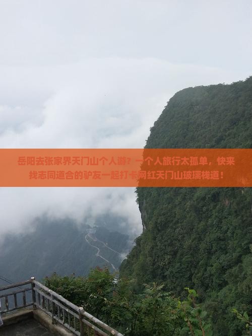 岳阳去张家界天门山个人游？一个人旅行太孤单，快来找志同道合的驴友一起打卡网红天门山玻璃栈道！