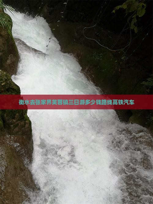 衡水去张家界芙蓉镇三日游多少钱路线高铁汽车