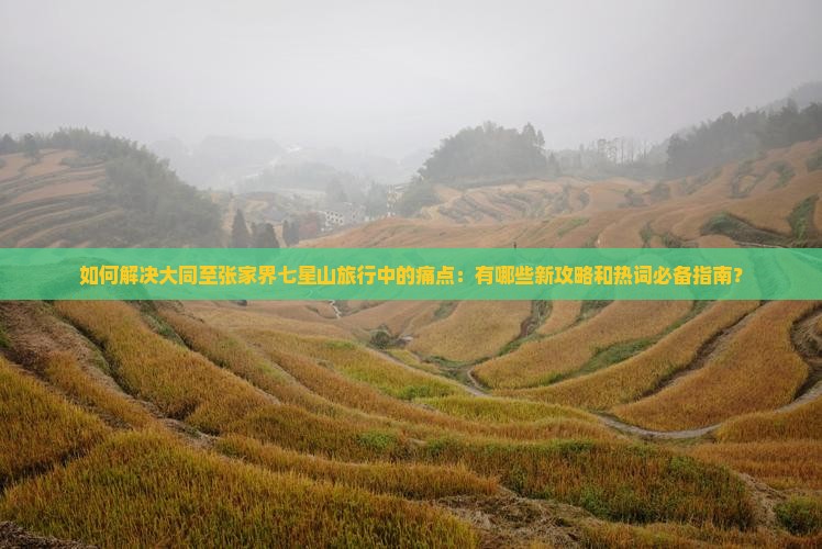 如何解决大同至张家界七星山旅行中的痛点：有哪些新攻略和热词必备指南？