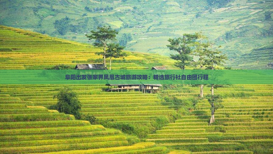 阜阳出发张家界凤凰古城旅游攻略：精选旅行社自由团行程