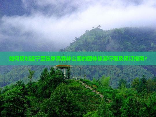 如何规划遂宁至张家界森林公园的团体旅游行程及预订指南？