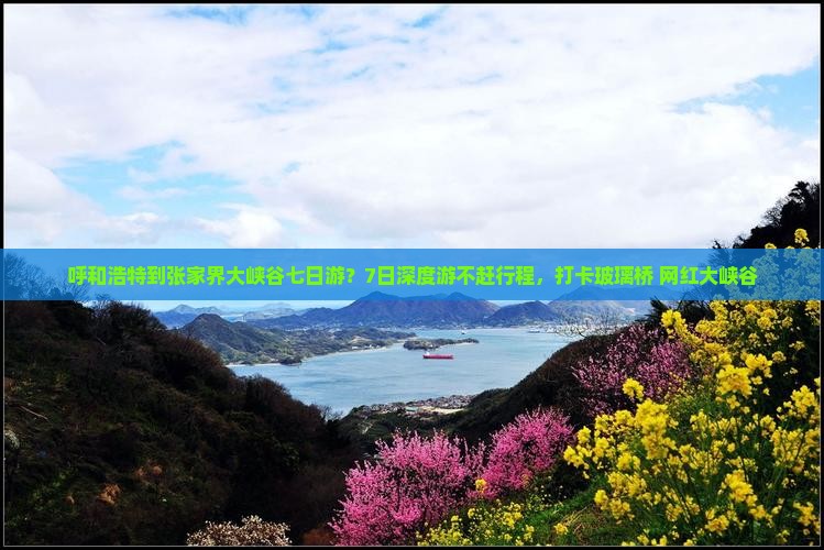 呼和浩特到张家界大峡谷七日游？7日深度游不赶行程，打卡玻璃桥+网红大峡谷