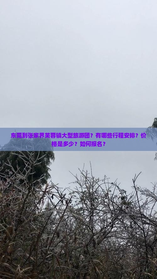 东莞到张家界芙蓉镇大型旅游团？有哪些行程安排？价格是多少？如何报名？