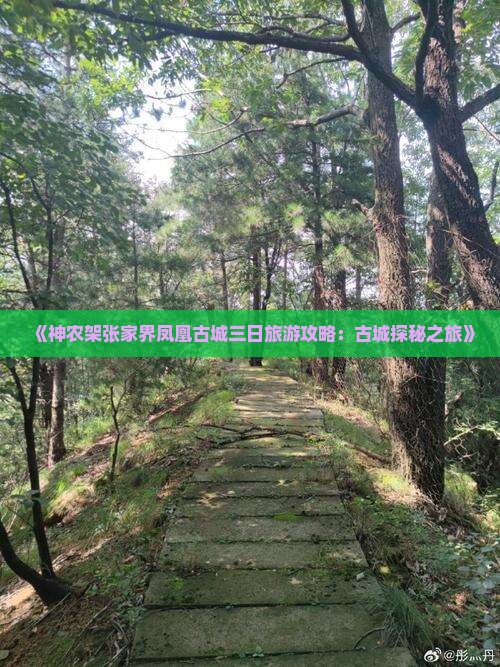 《神农架张家界凤凰古城三日旅游攻略：古城探秘之旅》