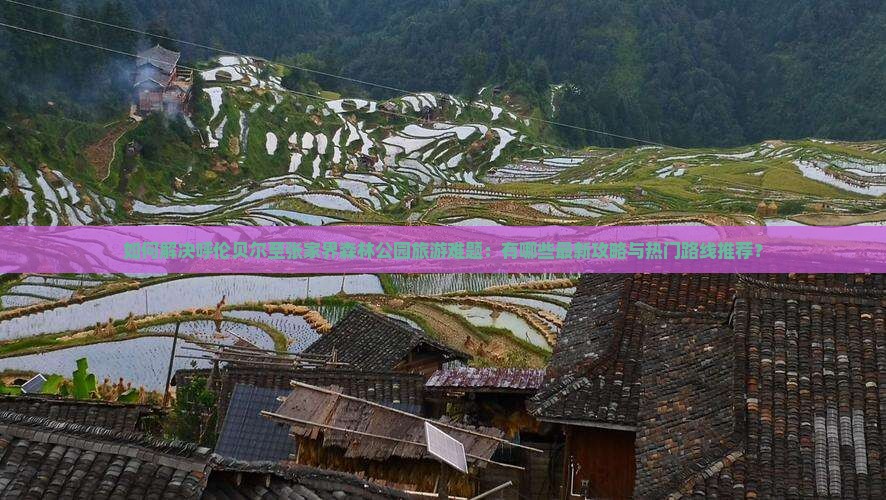 如何解决呼伦贝尔至张家界森林公园旅游难题：有哪些最新攻略与热门路线推荐？