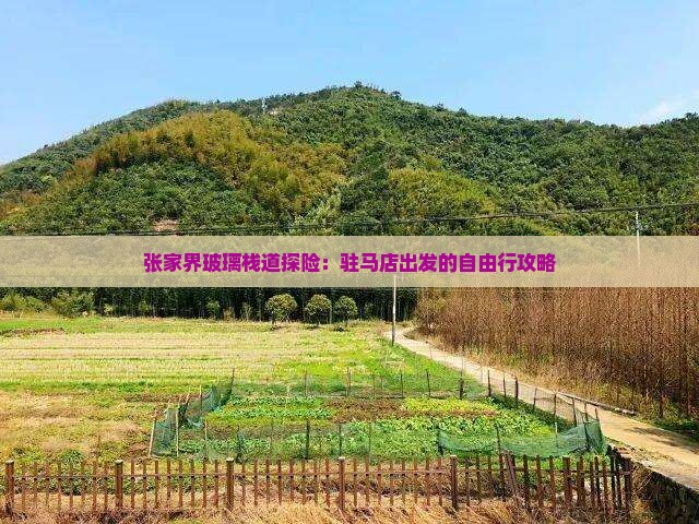 张家界玻璃栈道探险：驻马店出发的自由行攻略