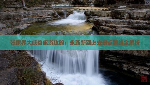 张家界大峡谷旅游攻略：永新新到必去景点路线全解析