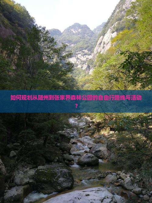 如何规划从随州到张家界森林公园的自由行路线与活动？