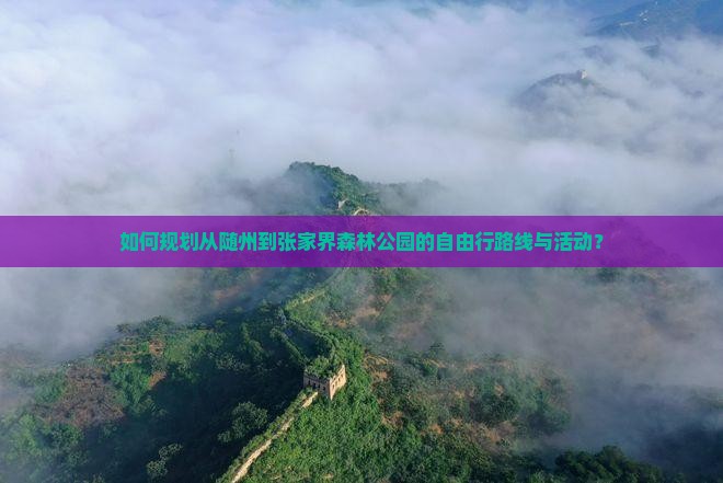如何规划从随州到张家界森林公园的自由行路线与活动？