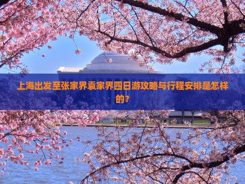 上海出发至张家界袁家界四日游攻略与行程安排是怎样的？