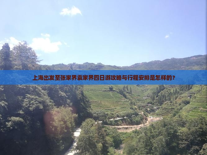上海出发至张家界袁家界四日游攻略与行程安排是怎样的？