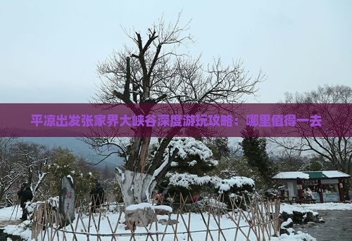 平凉出发张家界大峡谷深度游玩攻略：哪里值得一去