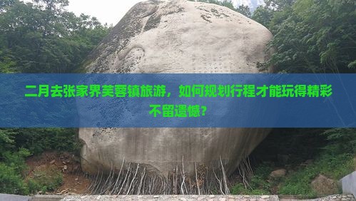二月去张家界芙蓉镇旅游，如何规划行程才能玩得精彩不留遗憾？
