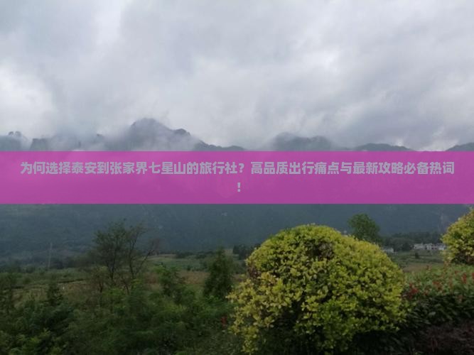 为何选择泰安到张家界七星山的旅行社？高品质出行痛点与最新攻略必备热词！