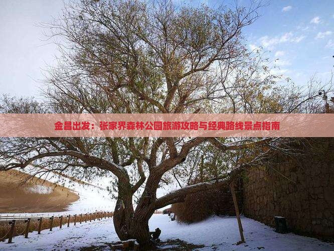 金昌出发：张家界森林公园旅游攻略与经典路线景点指南