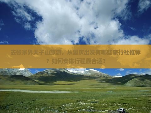 去张家界天子山旅游，从肇庆出发有哪些旅行社推荐？如何安排行程最合适？
