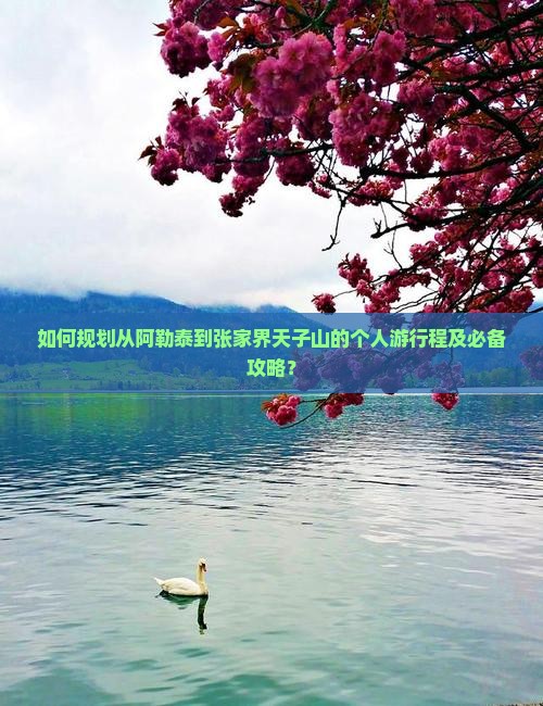 如何规划从阿勒泰到张家界天子山的个人游行程及必备攻略？