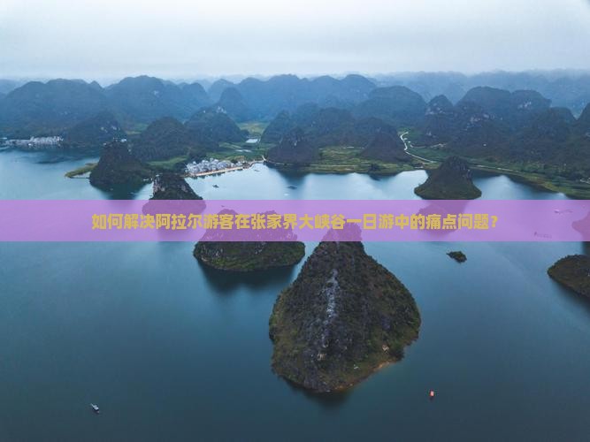 如何解决阿拉尔游客在张家界大峡谷一日游中的痛点问题？