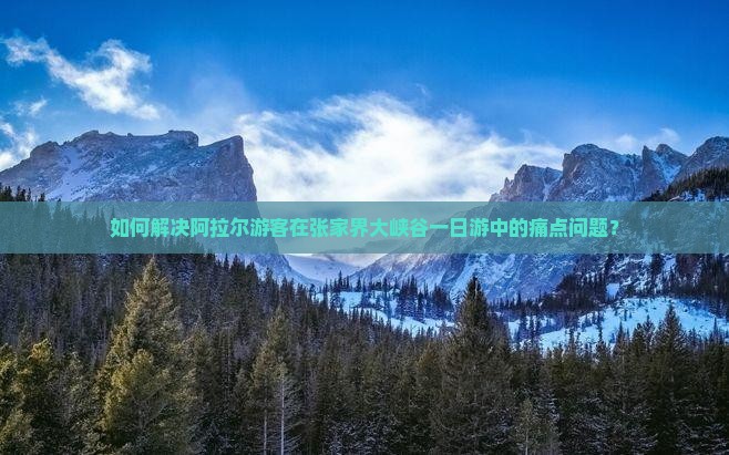 如何解决阿拉尔游客在张家界大峡谷一日游中的痛点问题？