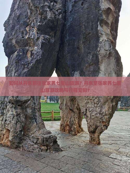 如何从丹东前往张家界七星山旅游？丹东至张家界七星山旅游攻略与行程安排？