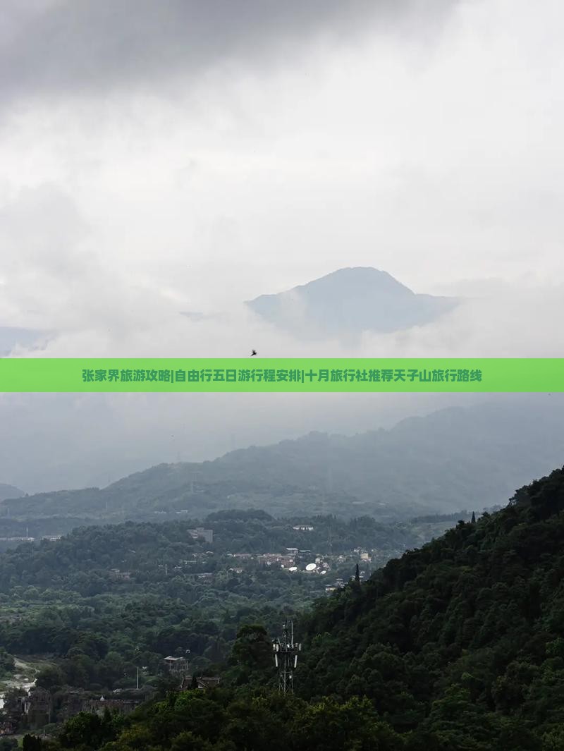 张家界旅游攻略|自由行五日游行程安排|十月旅行社推荐天子山旅行路线